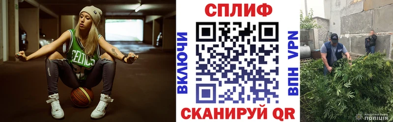 Бошки Шишки семена  Новоаннинский 